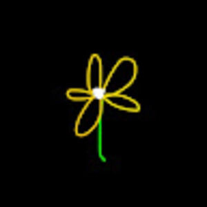 Meet your Posher, Erinelizabethh